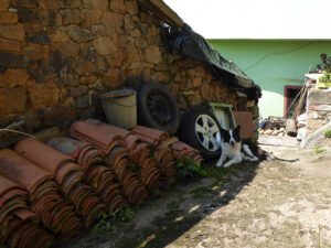 ruin to reform in Proaza, rural apartment project