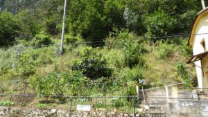 habitable village house in Cornellana for sale