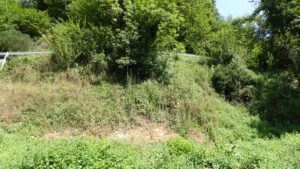 ruin to reform in Proaza, rural apartment project