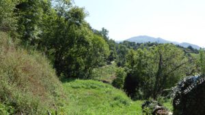 ruin to reform in Proaza, rural apartment project