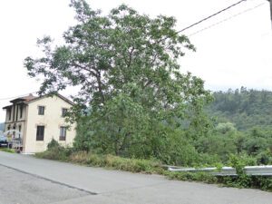 habitable village house in Cornellana for sale