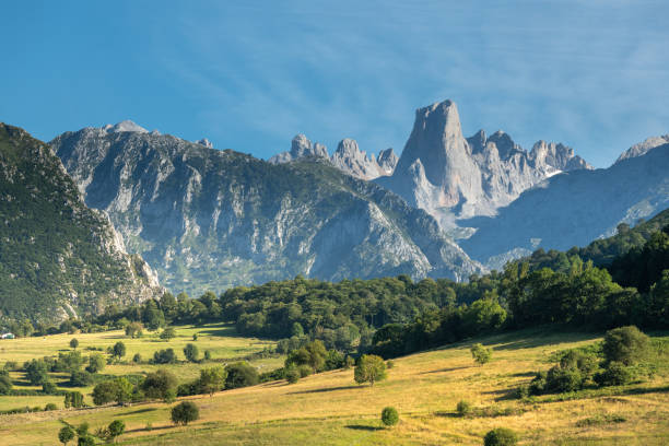 Picos de Europa