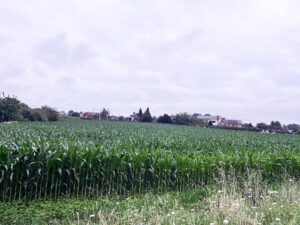 Terrano en venta en Luarca