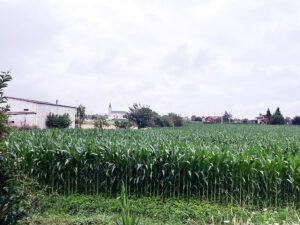 Terrano en venta en Luarca