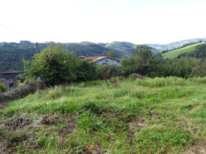 historical old house to restore in Asturias