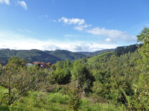 historical old house to restore in Asturias