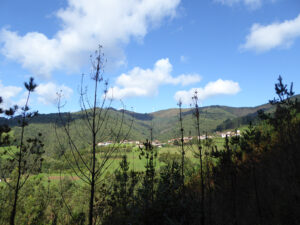 historical old house to restore in Asturias