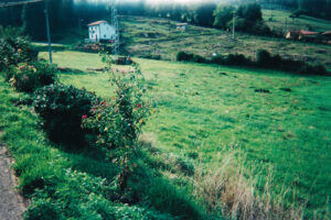 building plots for sale in Asturias