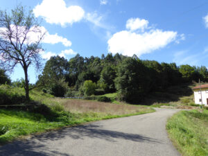 building plots for sale in Asturias