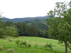 large stone house to renovate near Pravia