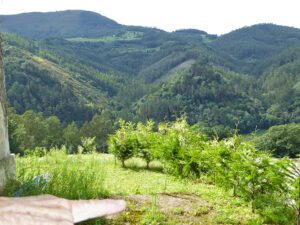 large stone house to renovate near Pravia