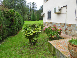 detached house with land for sale in Salas