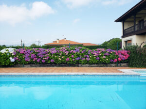 detached villa for sale in Soto del Barco