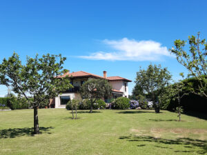 detached villa for sale in Soto del Barco
