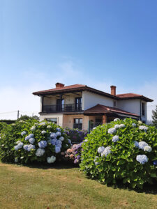 detached villa for sale in Soto del Barco