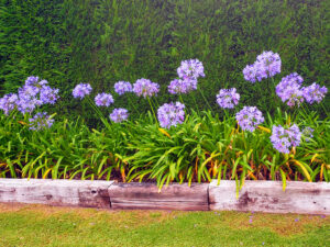 detached villa for sale in Soto del Barco