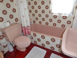 detached house with land for sale in Salas