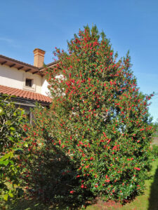 detached villa for sale in Soto del Barco