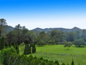 detached house with land for sale in Salas