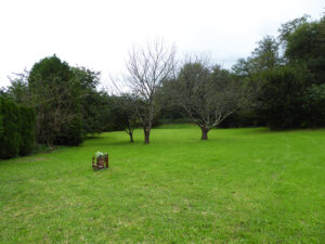 detached house with land for sale in Salas