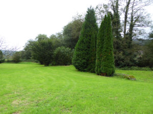 detached house with land for sale in Salas