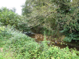 detached house with land for sale in Salas