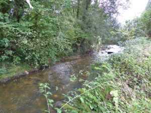 detached house with land for sale in Salas