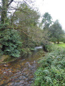 detached house with land for sale in Salas