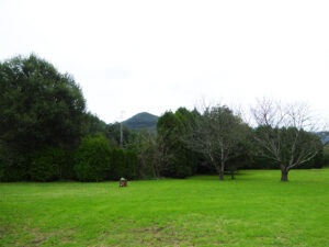 detached house with land for sale in Salas