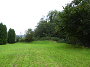 detached house with land for sale in Salas