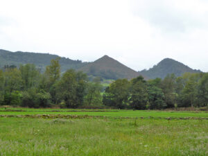 detached house with land for sale in Salas