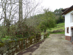 rural village house for sale in Grado