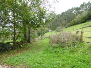 rural village house for sale in Grado