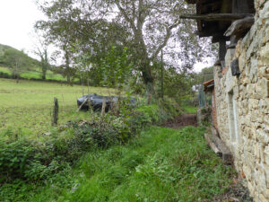 rural village house for sale in Grado