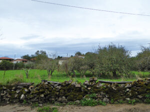 rural village house for sale in Grado