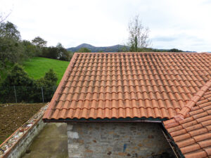 rural village house for sale in Grado