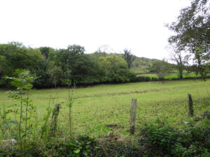 rural village house for sale in Grado