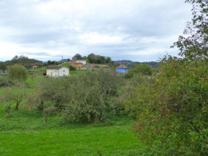 rural village house for sale in Grado