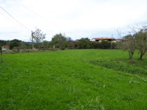 rural village house for sale in Grado
