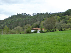 rural village house for sale in Grado