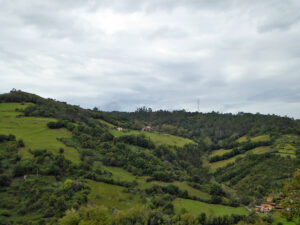 rural village house for sale in Grado