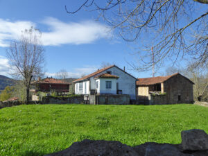 farmhouse with land for sale in Grado