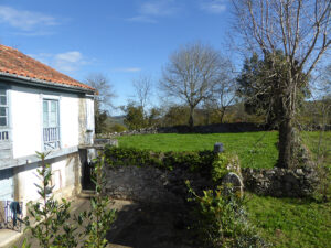 farmhouse with land for sale in Grado