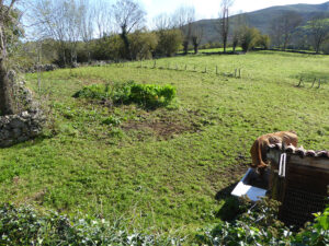 farmhouse with land for sale in Grado