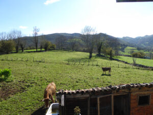 farmhouse with land for sale in Grado