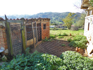 farmhouse with land for sale in Grado