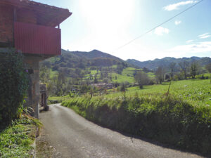 farmhouse with land for sale in Grado