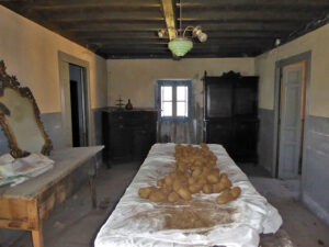 farmhouse with land for sale in Grado