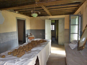 farmhouse with land for sale in Grado