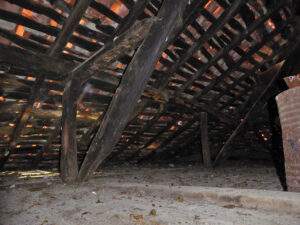 farmhouse with land for sale in Grado